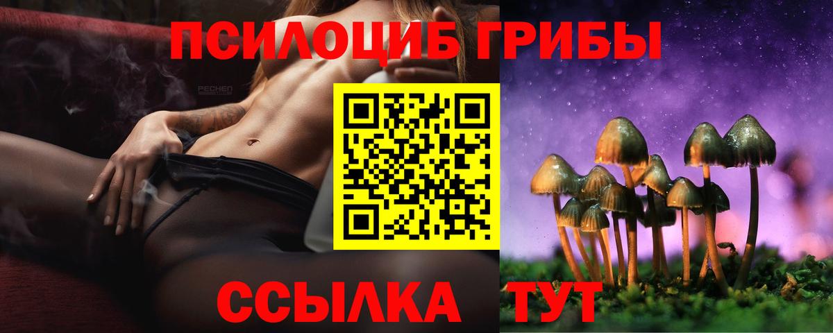 Борзя  Псилоцибиновые грибы MAGIC MUSHROOMS  Вход с VPN 